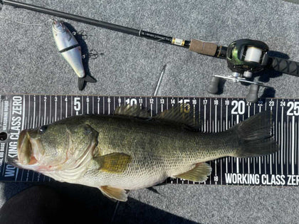 Catches
