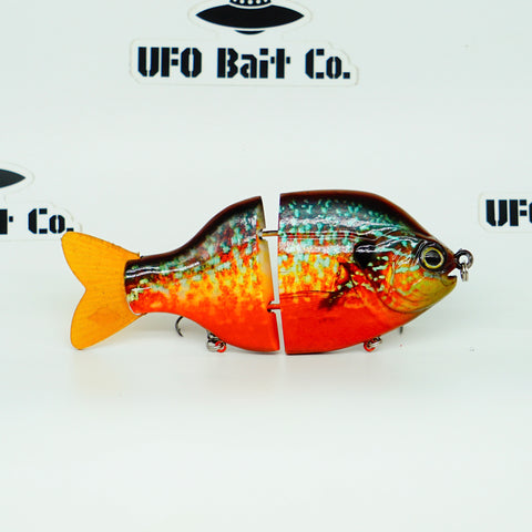 "Space Invader 675" "Red Pumpkinseed"