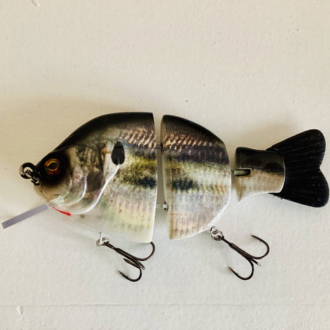 Becomes Available @5pm 6" Gill "Threadfin Shad"  Reelest Imaging X UFO Bait Co.
