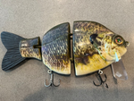 "The Mothership 2.0" "The Native Gill"